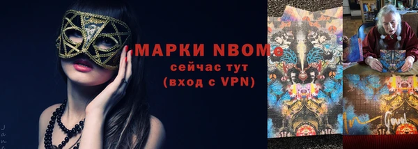 индика Арсеньев
