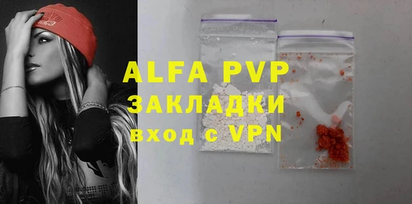 индика Арсеньев