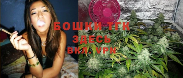 индика Арсеньев