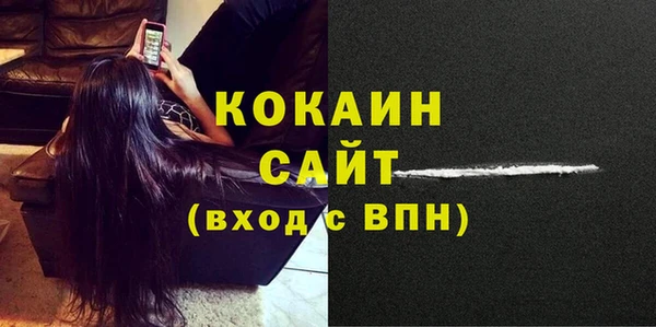 индика Арсеньев