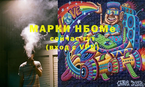 индика Арсеньев