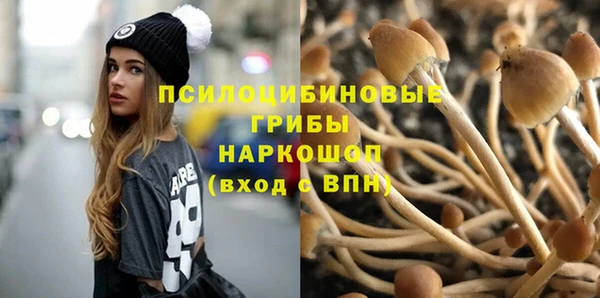 мет Аркадак
