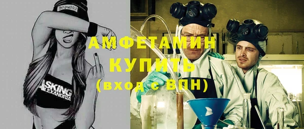 индика Арсеньев