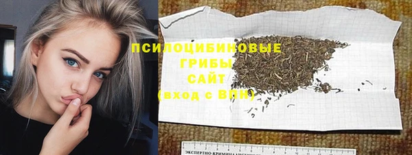 индика Арсеньев