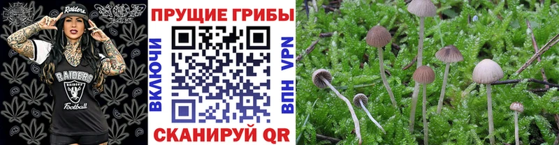 Галлюциногенные грибы мухоморы  omg маркетплейс  Бирюч 