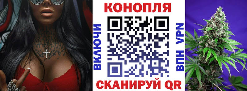 Бошки марихуана планчик  купить наркотик  Бирюч 
